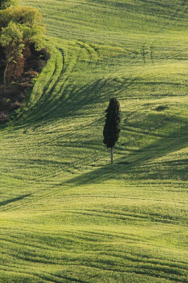 Farmhouse B&B Il Paretaio バルベリーノ・ヴァル・デルサ エクステリア 写真