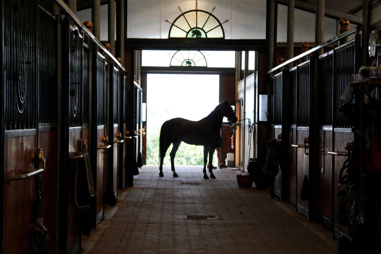 Farmhouse B&B Il Paretaio バルベリーノ・ヴァル・デルサ エクステリア 写真